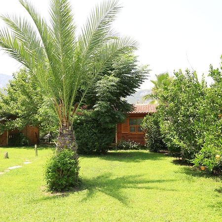 Tunays Pansiyon Bed & Breakfast Çıralı Eksteriør bilde