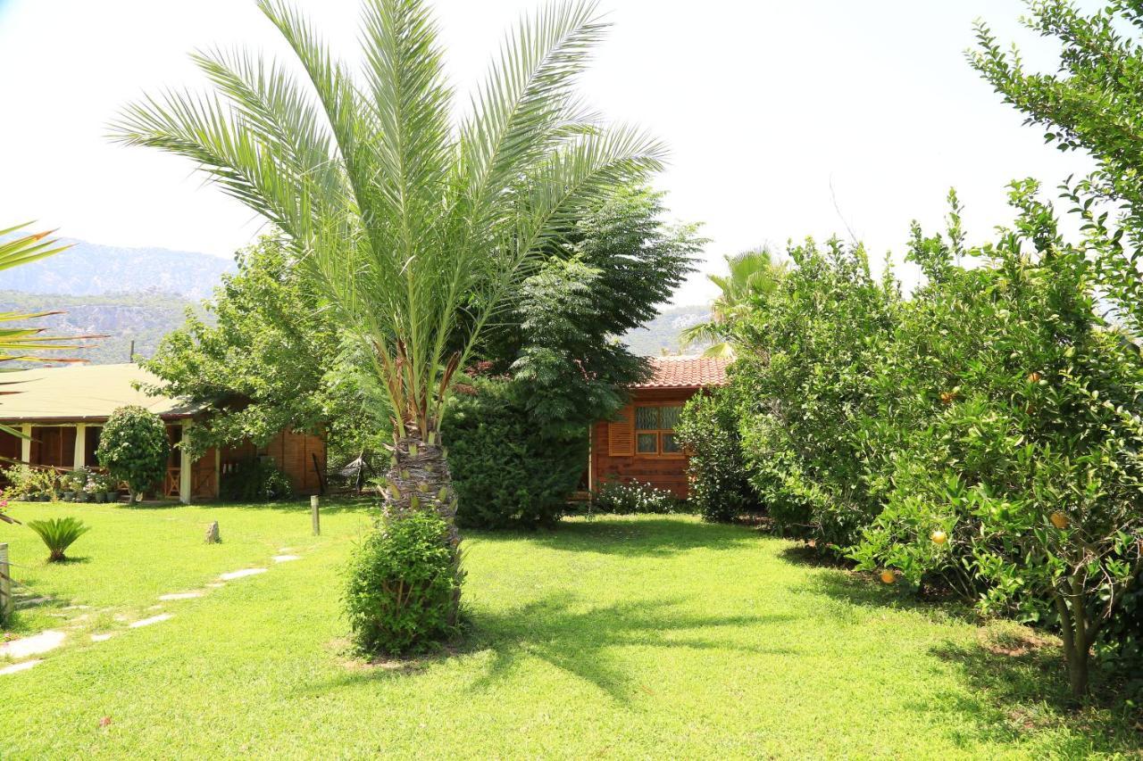 Tunays Pansiyon Bed & Breakfast Çıralı Eksteriør bilde