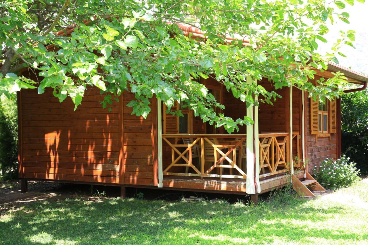 Tunays Pansiyon Bed & Breakfast Çıralı Rom bilde