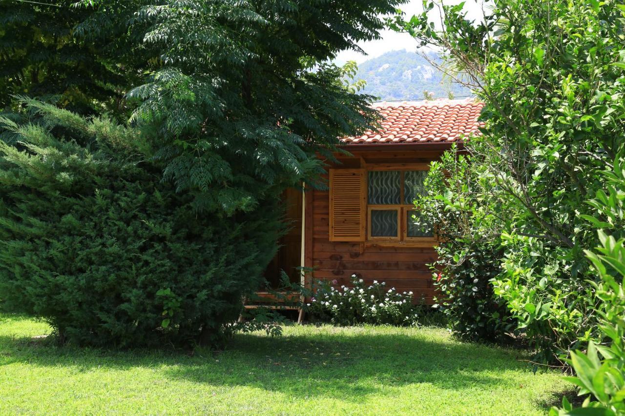 Tunays Pansiyon Bed & Breakfast Çıralı Rom bilde