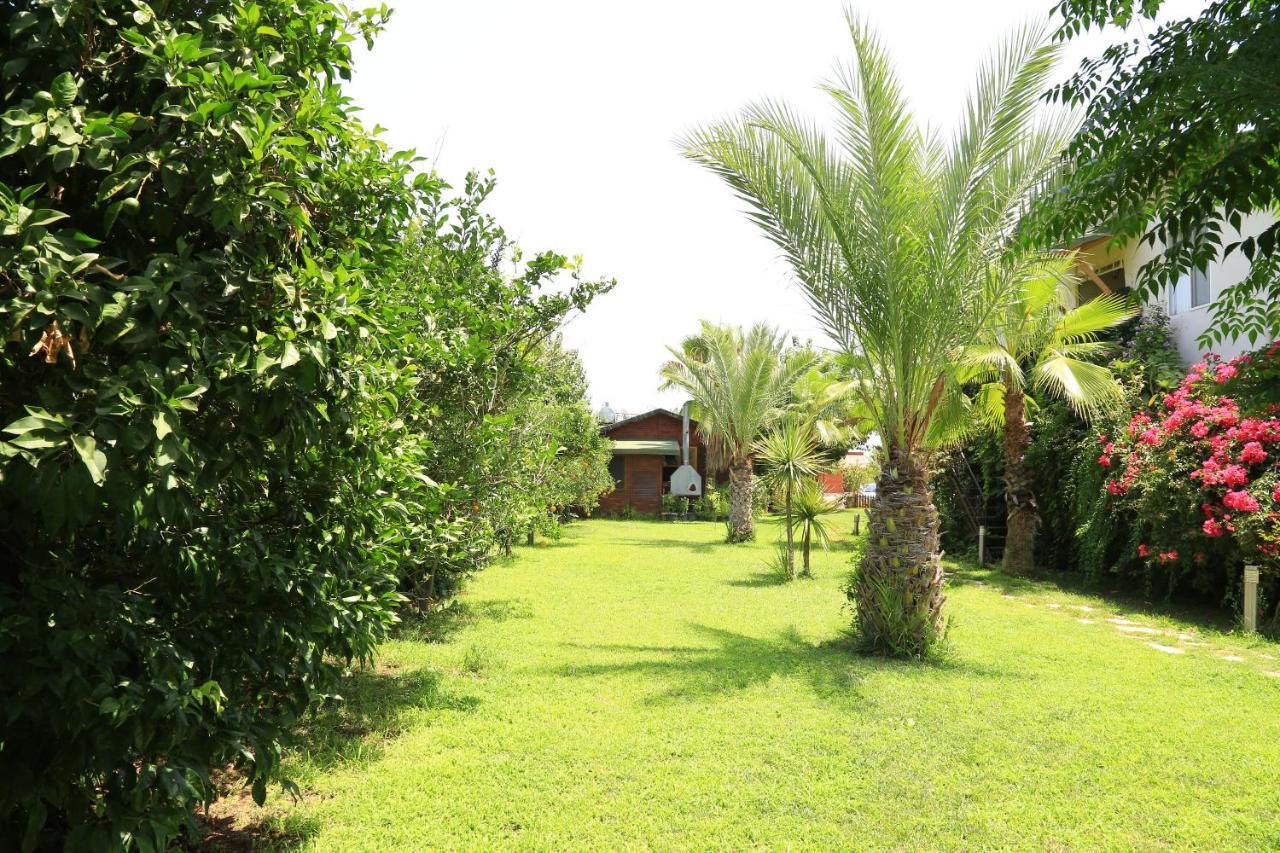 Tunays Pansiyon Bed & Breakfast Çıralı Rom bilde