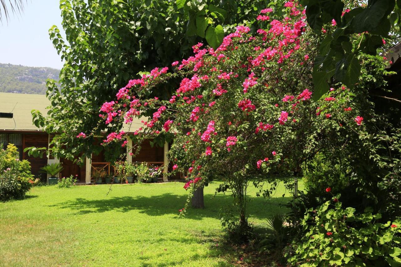 Tunays Pansiyon Bed & Breakfast Çıralı Eksteriør bilde