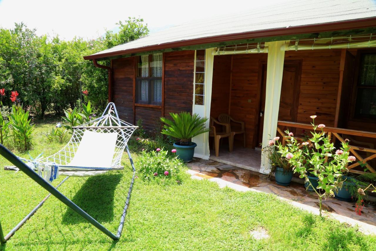 Tunays Pansiyon Bed & Breakfast Çıralı Rom bilde
