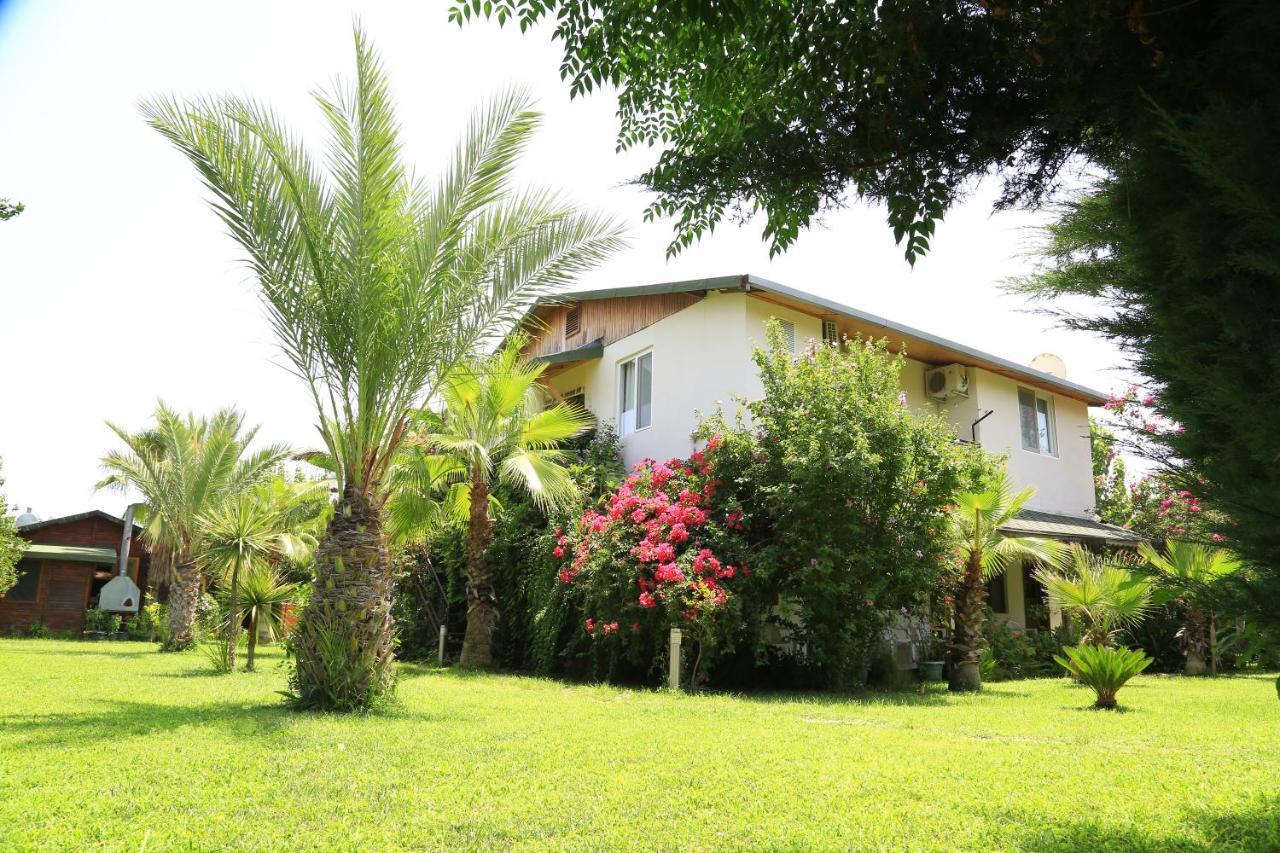 Tunays Pansiyon Bed & Breakfast Çıralı Rom bilde