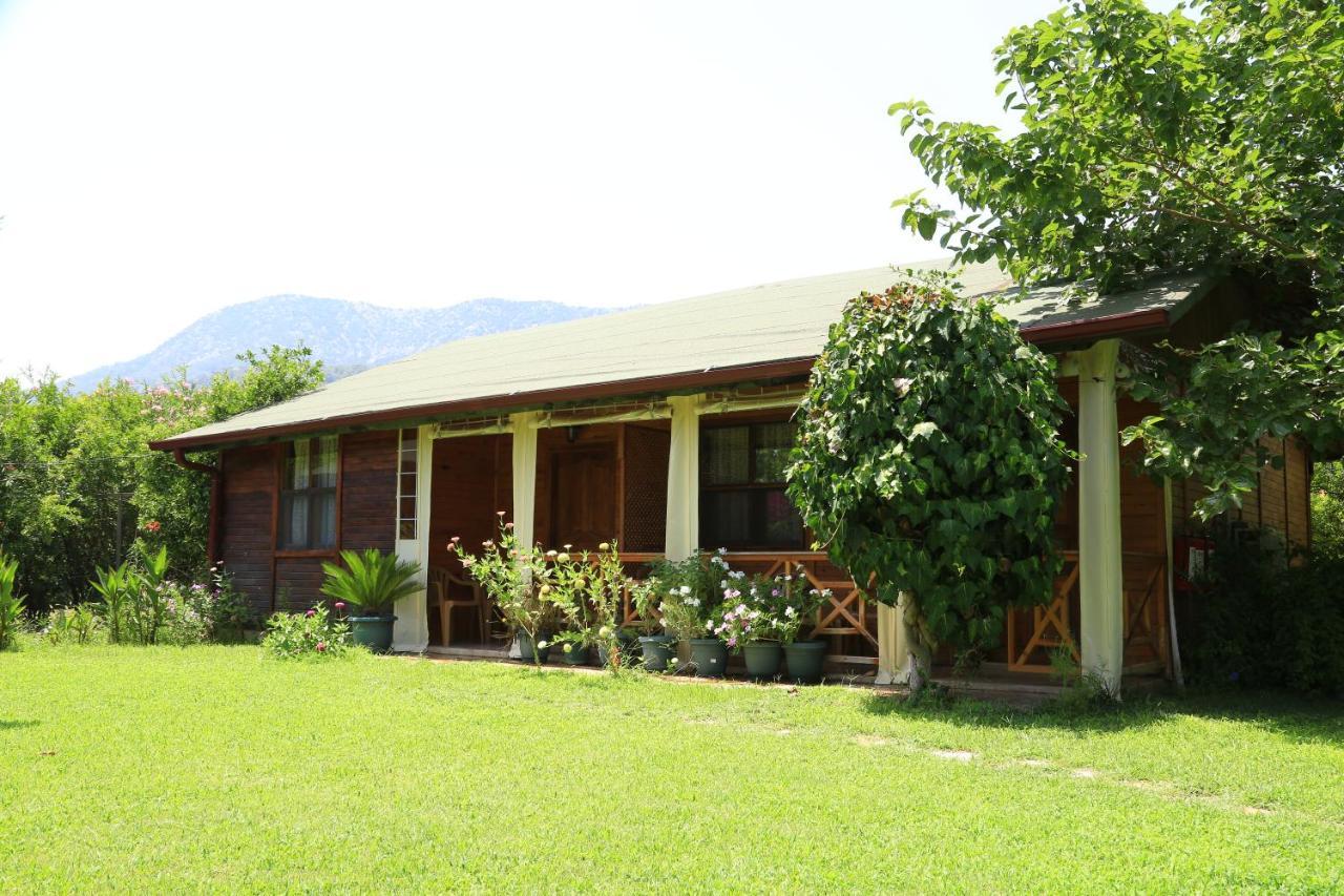 Tunays Pansiyon Bed & Breakfast Çıralı Rom bilde